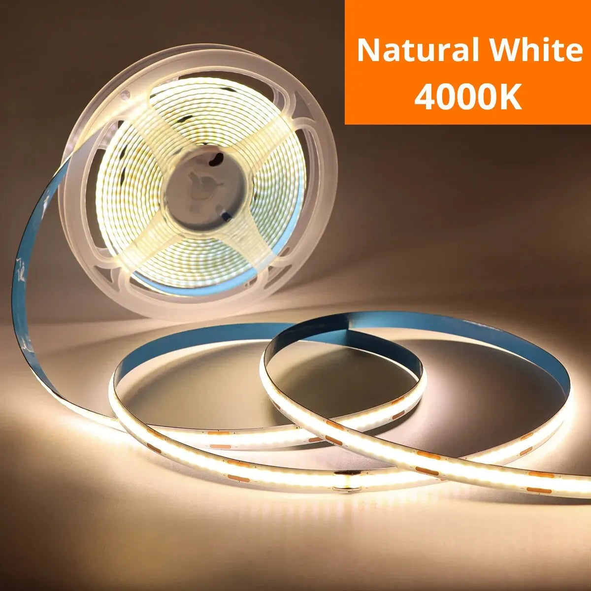 COB LED Light